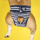 Menstrualne hlače za pse koje se mogu prati u perilici Prugaste fiziološke hlače za kućne ljubimce Odjeća za pelene za kućne ljubimce protiv uznemiravanja