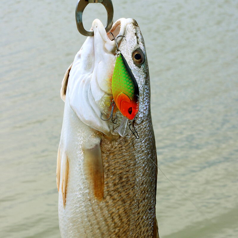 Banshee 7cm 15g Crankbaits žvejybos masalas Kietas masalas Crank Bass Vobleris Barškučio garso vobleriai lydekai plaukiojantis dirbtinis masalas