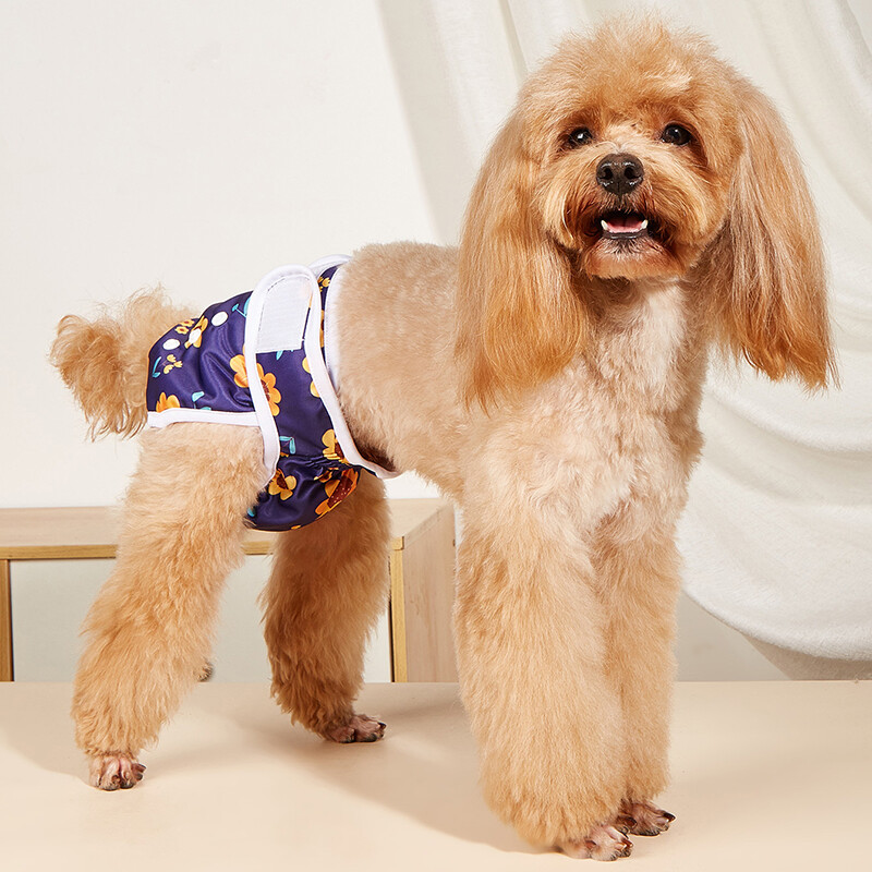 Chiloți pentru câini, cu imprimeu de desene animate, scutec pentru câini, pantaloni fiziologici, subțiri, confortabili, pantaloni scurți sanitari pentru cățeluș, lenjerie de corp pentru animale de companie