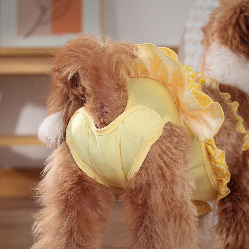 Legújabb nőstény kutya fiziológiás nadrágok aranyos mintás kisállat alsóneműk kis kutyáknak macskáknak chihuahua yorkshire kölyök kölyök ruházat