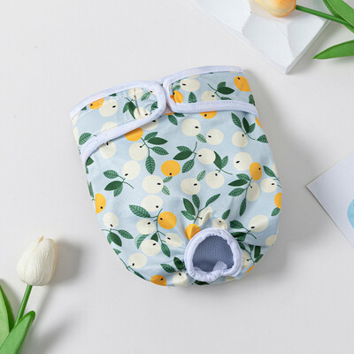 Vízálló Háziállatok Pelenka Nyomtatás Női Kutya Pelenka Fehérnemű Pelenka Egészségügyi Bugyi Fiziológiai Kis Közepes Kutya Rövidnadrág Nadrág