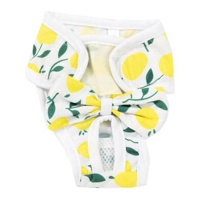 Vízálló Háziállatok Pelenka Nyomtatás Női Kutya Pelenka Fehérnemű Pelenka Egészségügyi Bugyi Fiziológiai Kis Közepes Kutya Rövidnadrág Nadrág