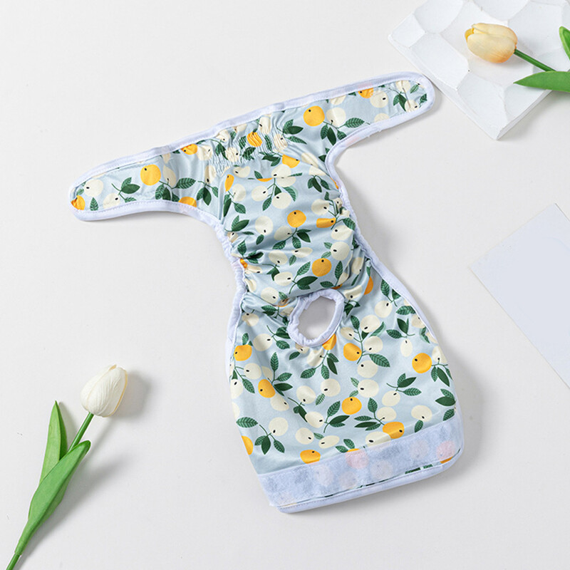 Vízálló Háziállatok Pelenka Nyomtatás Női Kutya Pelenka Fehérnemű Pelenka Egészségügyi Bugyi Fiziológiai Kis Közepes Kutya Rövidnadrág Nadrág