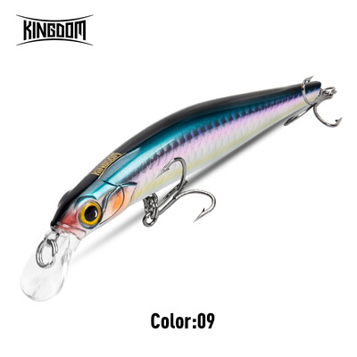 Kingdom Kingart Naluci de pescuit Sinking Minnow 6g 9g 14g 18.6g Jerkbaits Good Action Wobblers FR Silence Momeli dure Biban de mare
