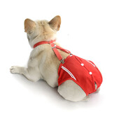 Prancūzų buldogų terjeras Šortai šuniukui Nauji taškeliai mados kelnės smulkūs gyvūnai Čihuahua Jorkšyro raudonos medvilnės katės šunų prekės