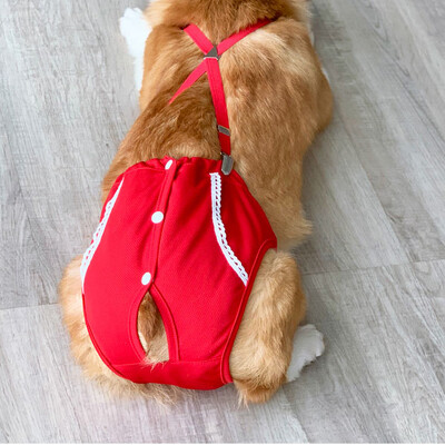 Prancūzų buldogų terjeras Šortai šuniukui Nauji taškeliai mados kelnės smulkūs gyvūnai Čihuahua Jorkšyro raudonos medvilnės katės šunų prekės