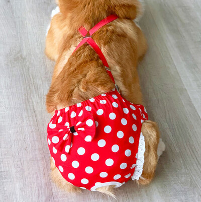 Prancūzų buldogų terjeras Šortai šuniukui Nauji taškeliai mados kelnės smulkūs gyvūnai Čihuahua Jorkšyro raudonos medvilnės katės šunų prekės