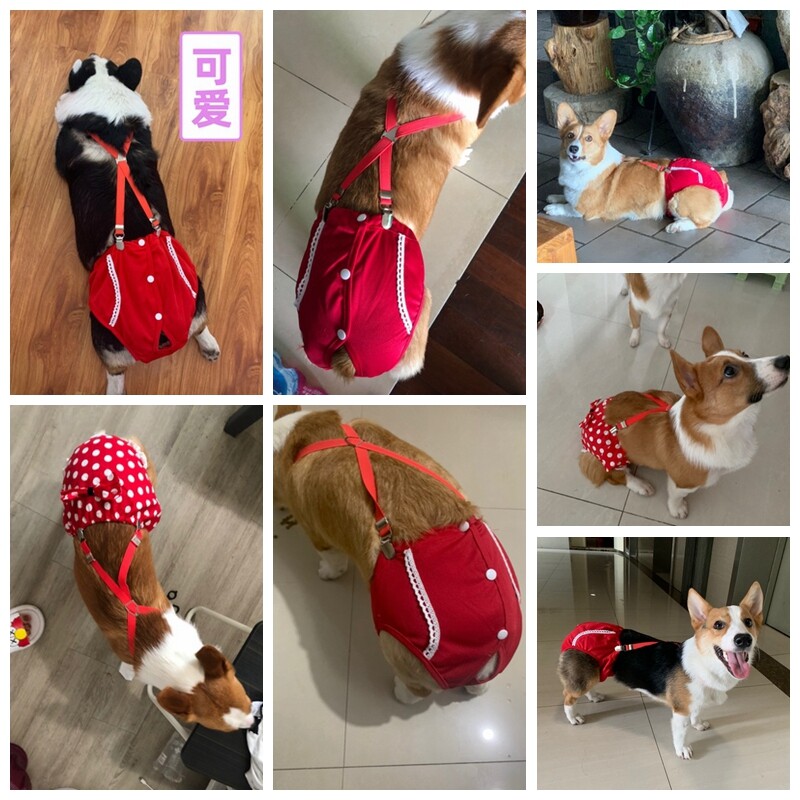 Prancūzų buldogų terjeras Šortai šuniukui Nauji taškeliai mados kelnės smulkūs gyvūnai Čihuahua Jorkšyro raudonos medvilnės katės šunų prekės