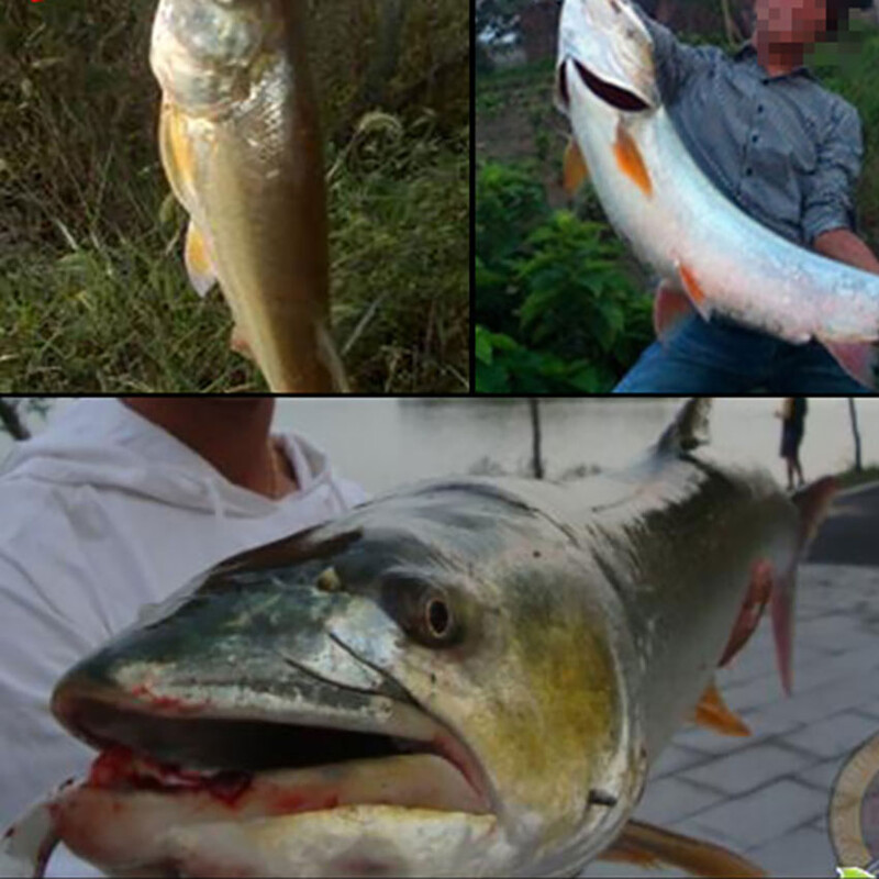 JYJ 11cm 11g 5vnt daug žvejybos pieštukas plaukiojantis masalas, išlenktas pieštukas minnow jerkbait vobleris