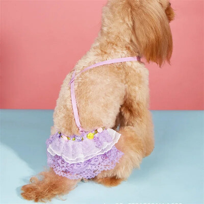 Seksualūs nėriniai šortai Sling Dog Kelnaitės mažiems šunims chihuahua Jorkšyro naminiams gyvūnėliams apatiniai šunų vystyklai Moteriški pañales para perros