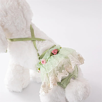 Seksualūs nėriniai šortai Sling Dog Kelnaitės mažiems šunims chihuahua Jorkšyro naminiams gyvūnėliams apatiniai šunų vystyklai Moteriški pañales para perros