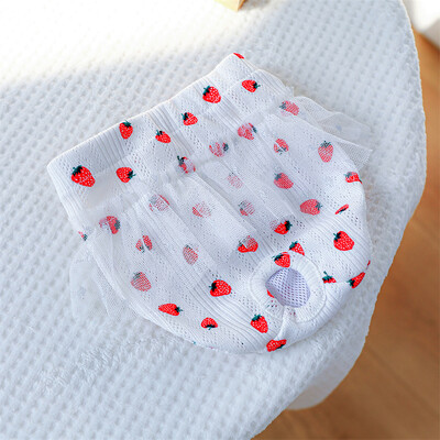 Štene Psi fiziološke hlačice za male pse Ženke za kućne ljubimce Menstrualne gaćice Chihuahua Yorkshire Pudle Mascotas Proizvodi