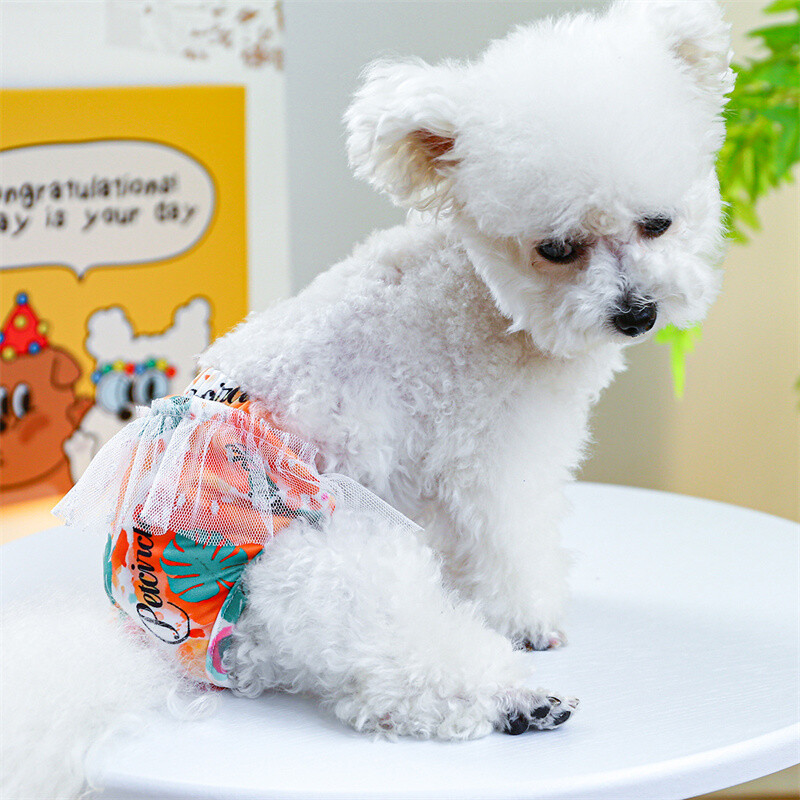 Štene Psi fiziološke hlačice za male pse Ženke za kućne ljubimce Menstrualne gaćice Chihuahua Yorkshire Pudle Mascotas Proizvodi