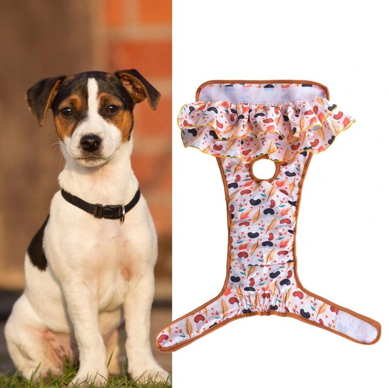 Moteriškos šunų sauskelnės, plaunamos, gerai sugeriančios, šuniuko higieninės kelnaitės, šunų vystyklai mažiems dideliems šunims katėms, naminių gyvūnėlių reikmenys