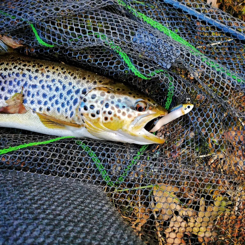 TEKNIK Jigová hlavička 2 ks/balenie Jigová návnada čierna rybka 5g 10g 15g 25g 40g Jigová návnada na morského ostrieža čierna rybka Prívlačová umelá návnada