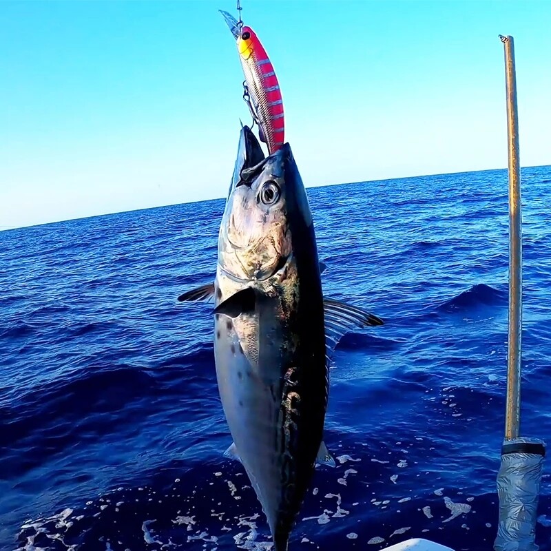 TSURINOYA Nalucă de pescuit cu scufundare de pescuit grea 90S 90mm 37g STRIKER Long Casting Momeală dură de înaltă rezistență Pescuit de mare Ton Model