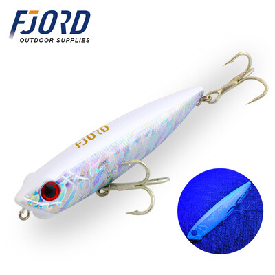 FJORD 31g pieštukas žvejybos masalas 130 mm vandens paviršinis gėlavandenis netikras masalas paviršinis kietas jūros dirbtinis masalas Žuvies įranga žvejybai