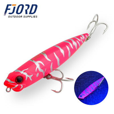 FJORD 31g pieštukas žvejybos masalas 130 mm vandens paviršinis gėlavandenis netikras masalas paviršinis kietas jūros dirbtinis masalas Žuvies įranga žvejybai