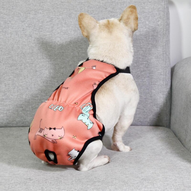 Mājdzīvnieku menstruālās bikses Atkārtoti lietojama ūdensnecaurlaidīga suņu autiņbiksīšu siksna ar multfilmu rakstu Sieviešu biksītes Šorti Pet fizioloģiski kucēnam