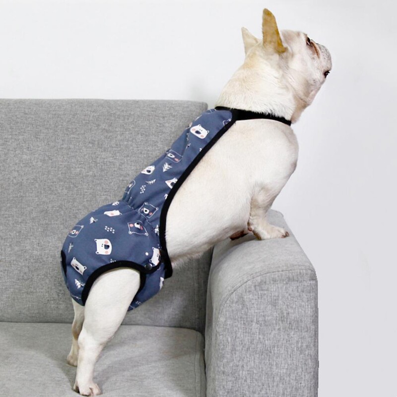 Mājdzīvnieku menstruālās bikses Atkārtoti lietojama ūdensnecaurlaidīga suņu autiņbiksīšu siksna ar multfilmu rakstu Sieviešu biksītes Šorti Pet fizioloģiski kucēnam