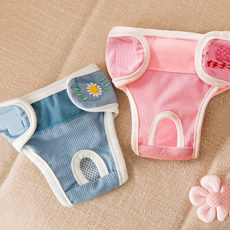 Sweet Print Sfinksi kassi mähkmed Naiste lemmikloomade füsioloogilised püksid kassidele Gotas Kitten Garfield lühikesed püksid aluspüksid maskotid Tarvikud