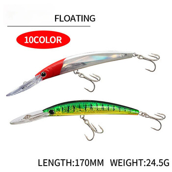 Ψάρεμα Luya Bait Long Tongue Mino Diving 170mm/24,5g Προσομοίωση Fake Bait Shallow Sea Fishing Bass Fish Bait