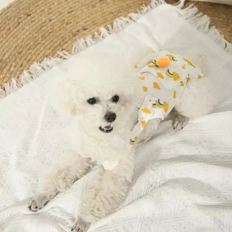 Fyziologické nohavičky pre domáce zvieratá, plienky, prateľné, krátke nohavičky pre domáce zvieratá, mačiatka, pooperačná starostlivosť, spodná bielizeň, hygienické potreby pre psy