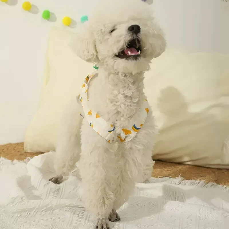 Fyziologické nohavičky pre domáce zvieratá, plienky, prateľné, krátke nohavičky pre domáce zvieratá, mačiatka, pooperačná starostlivosť, spodná bielizeň, hygienické potreby pre psy