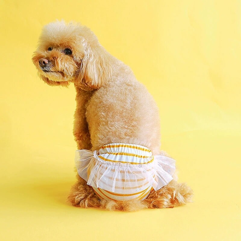 Korduvkasutatavad koerte füsioloogilised mähkmepüksid triibulise trükiga hügieenilised emased koerapüksid Chihuahua bichon turvapüksid lemmikloomade tarvikud