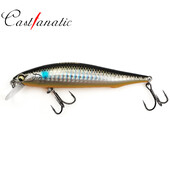 Castfanatic Brand Assassin105 AR-C Minnow vobleris 14g Jerkbait lėtai skęstantis dirbtinis masalas jūrų ešerių lydekų žvejybos masalas
