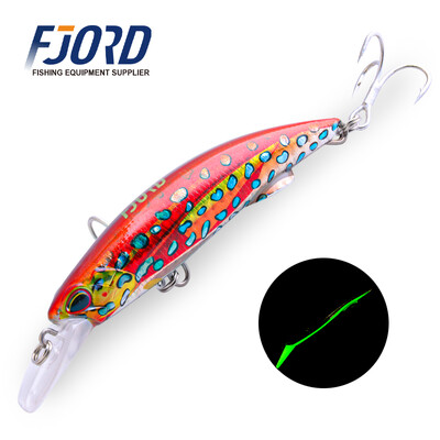 FJORD 3D Nyomtatás Minnow horgászcsali 40g 50g Saltwater Night Glow Tengeralattjáró erősen süllyedő,hosszú dobású horgásztartozékok 2024