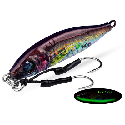 Jigbass 30G-80G Luya Bait Iron Plate 3D Inkjet Printing Pron Plate Bioninis masalas Ilgo nuotolio gėlavandenės jūros žvejybos burnos boso švinas