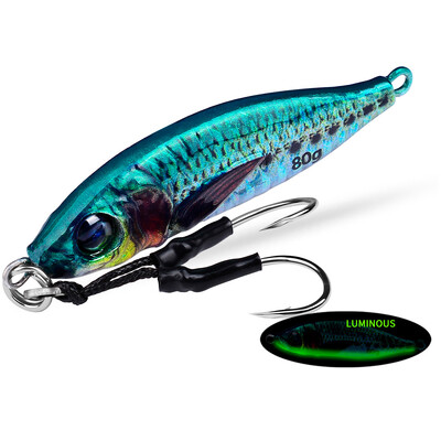 Jigbass 30G-80G Luya Bait Iron Plate 3D Inkjet Printing Pron Plate Bioninis masalas Ilgo nuotolio gėlavandenės jūros žvejybos burnos boso švinas