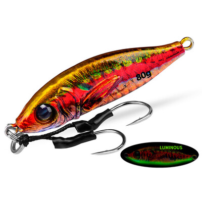 Jigbass 30G-80G Luya Bait Iron Plate 3D Inkjet Printing Pron Plate Bioninis masalas Ilgo nuotolio gėlavandenės jūros žvejybos burnos boso švinas