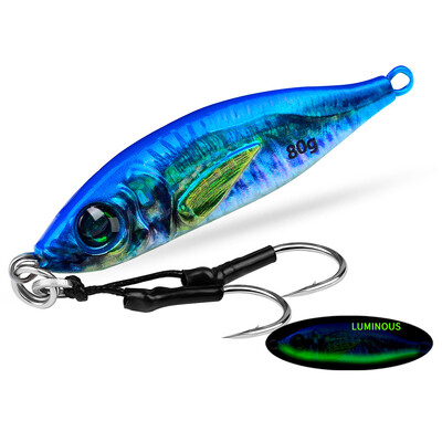 Jigbass 30G-80G Luya Bait Iron Plate 3D Inkjet Printing Pron Plate Bioninis masalas Ilgo nuotolio gėlavandenės jūros žvejybos burnos boso švinas