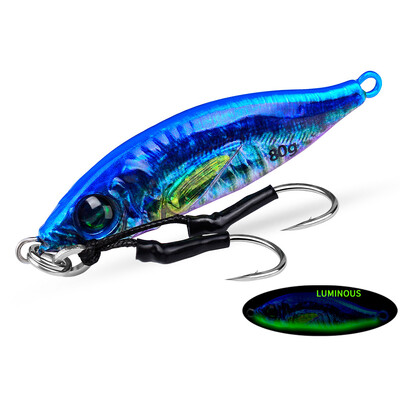 Jigbass 30G-80G Luya Bait Iron Plate 3D Inkjet Printing Pron Plate Bioninis masalas Ilgo nuotolio gėlavandenės jūros žvejybos burnos boso švinas