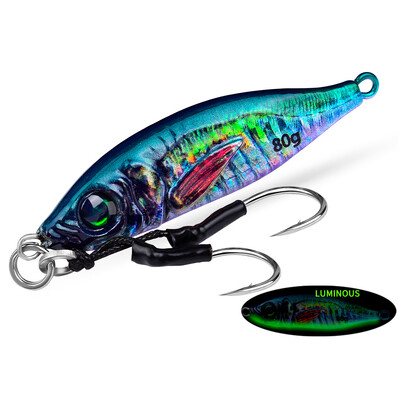 Jigbass 30G-80G Luya Bait Iron Plate 3D Inkjet Printing Pron Plate Bioninis masalas Ilgo nuotolio gėlavandenės jūros žvejybos burnos boso švinas