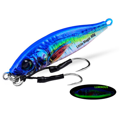 Jigbass 30G-80G Luya Bait Iron Plate 3D Inkjet Printing Pron Plate Bioninis masalas Ilgo nuotolio gėlavandenės jūros žvejybos burnos boso švinas