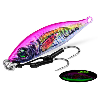 Jigbass 30G-80G Luya Bait Iron Plate 3D Inkjet Printing Pron Plate Bioninis masalas Ilgo nuotolio gėlavandenės jūros žvejybos burnos boso švinas