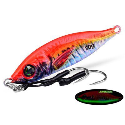 Jigbass 30G-80G Luya Bait Iron Plate 3D Inkjet Printing Pron Plate Bioninis masalas Ilgo nuotolio gėlavandenės jūros žvejybos burnos boso švinas