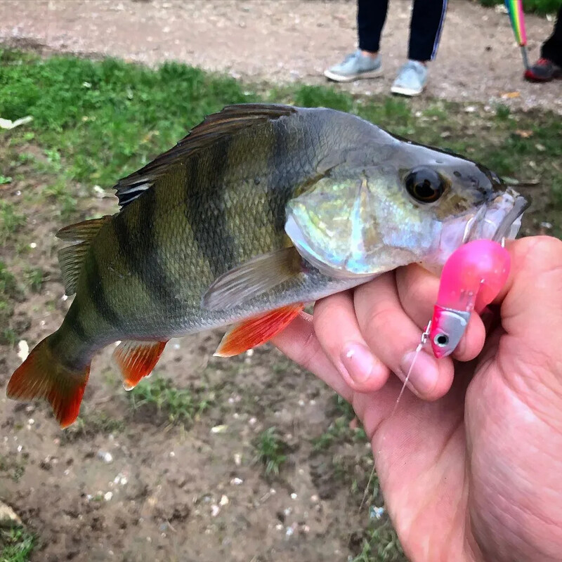 TEKNIK Black Minnow Body Soft Lure Jig Head 70mm/90mm/110mm Black Minnow For Bass Pike Szilikon Csali Easy Shiner Jigging Leurre