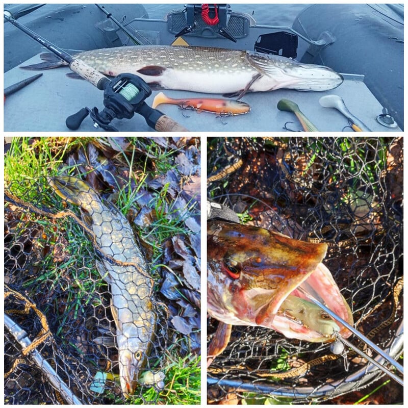 Spinpoler Bombshad Coada pătrată Swimbait Shad Pike Naluci 14cm 18cm Imprimare Silicon Artificial Pentru Big Catch Pescuit în Marea Wobbler