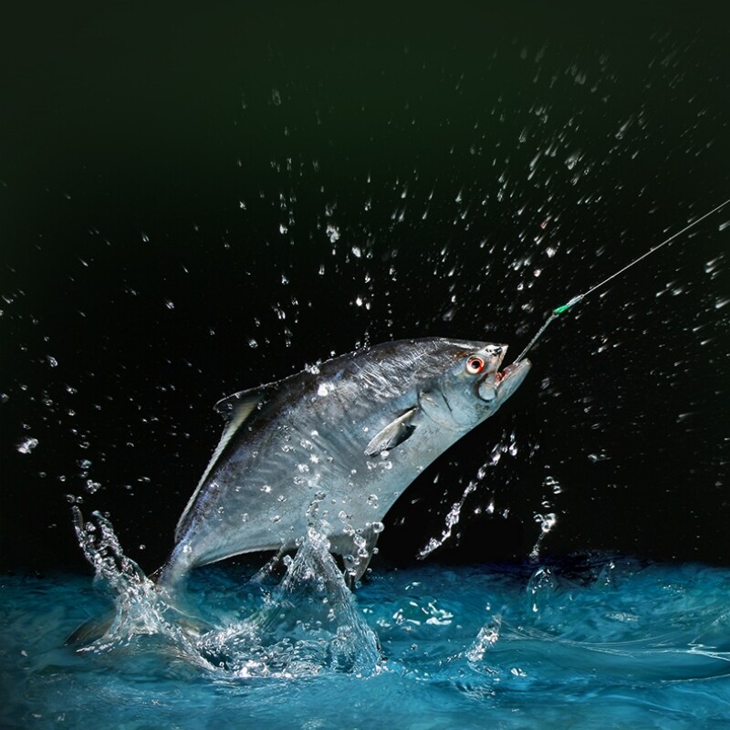 8 szálas fonott horgászzsinór 300M 500M 1000M Japan Super Strong PE multifil zsinór pontyhorgász-kiegészítők Sósvízi pesca