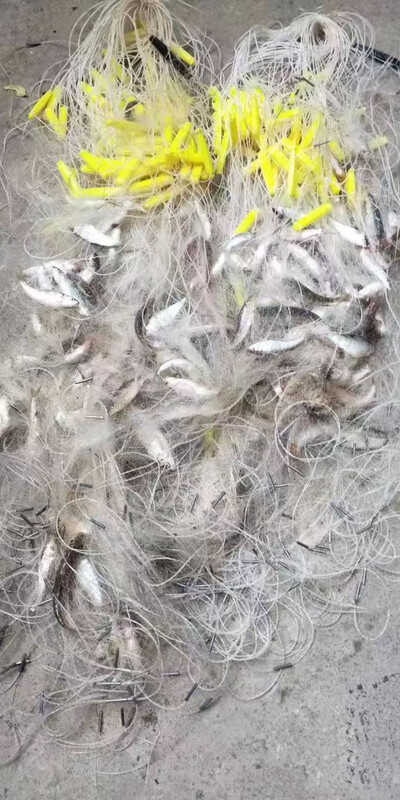 10m 20m vieno sluoksnio plaukiojantis tinklas lipnus tinklas gaudyti smulkias žuveles