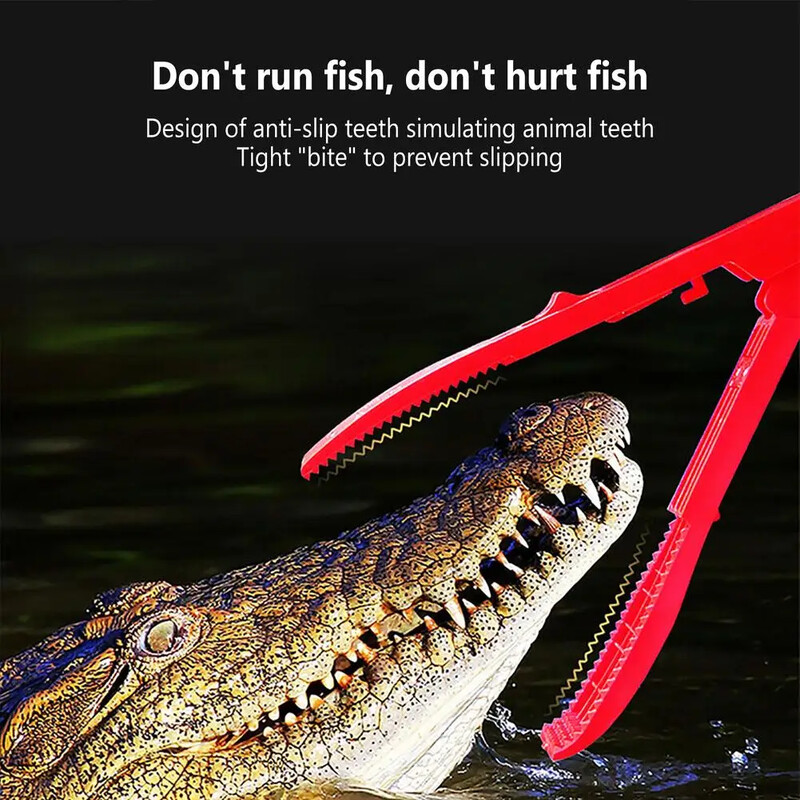 Viegls zivju knaibles Zvejas piederumi Viss zvejas piederumi Portatvs rku aprkojums zvejai. Piederumi sporta izklaidei