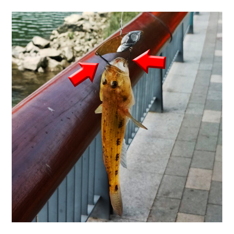 50 komada Dvostruka udica za pecanje, ručica od ugljičnog čelika, bodljikava udica za pecanje šarana, vezanje mušica, meki mamac, dodaci za ribu