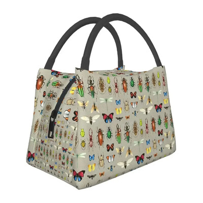 Putukate lõunakotid isoleeritud Bento kastiga kaasaskantavad lõunasöögikotid piknikukotid jahutuskott naistele lastele kontorisse