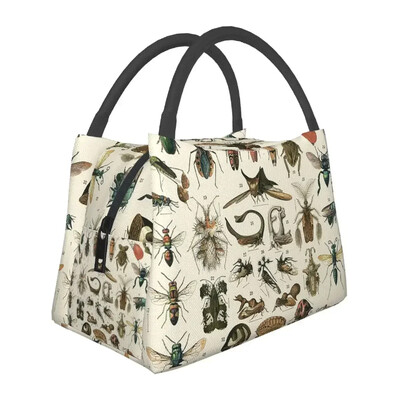 Putukate lõunakotid isoleeritud Bento kastiga kaasaskantavad lõunasöögikotid piknikukotid jahutuskott naistele lastele kontorisse