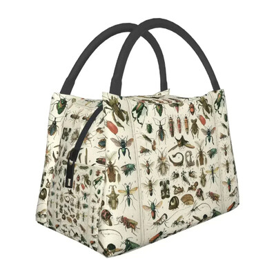 Putukate lõunakotid isoleeritud Bento kastiga kaasaskantavad lõunasöögikotid piknikukotid jahutuskott naistele lastele kontorisse