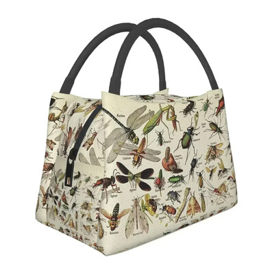 Putukate lõunakotid isoleeritud Bento kastiga kaasaskantavad lõunasöögikotid piknikukotid jahutuskott naistele lastele kontorisse